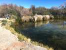photo thumbnail #4