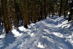 photo thumbnail #9