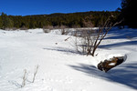 photo thumbnail #13