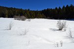 photo thumbnail #11