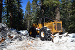 photo thumbnail #7