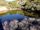 photo thumbnail #7