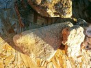 photo thumbnail #11