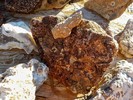 photo thumbnail #15