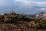 photo thumbnail #2