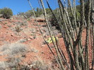 photo thumbnail #4
