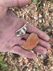 photo thumbnail #7