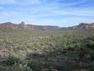 photo thumbnail #10