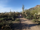 photo thumbnail #3