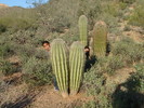photo thumbnail #4