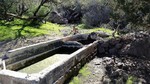 photo thumbnail #12