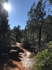 photo thumbnail #9
