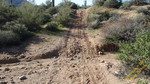 photo thumbnail #9