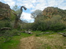 photo thumbnail #11