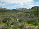 photo thumbnail #14