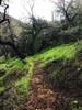 photo thumbnail #15