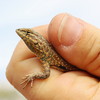 photo thumbnail #9
