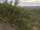 photo thumbnail #1