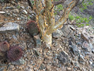 photo thumbnail #2