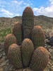 photo thumbnail #5