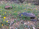 photo thumbnail #6