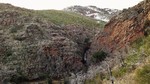 photo thumbnail #5