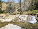 photo thumbnail #7
