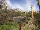 photo thumbnail #6