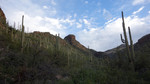 photo thumbnail #1