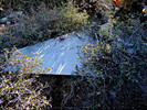 photo thumbnail #11