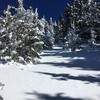 photo thumbnail #4