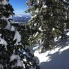 photo thumbnail #5