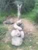 photo thumbnail #3