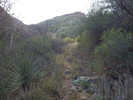 photo thumbnail #11