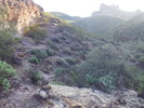 photo thumbnail #4
