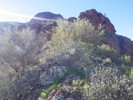 photo thumbnail #5