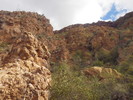 photo thumbnail #11