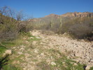 photo thumbnail #2