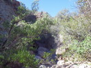 photo thumbnail #13