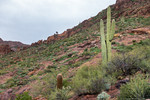 photo thumbnail #1