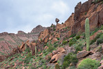 photo thumbnail #2