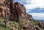 photo thumbnail #7
