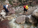 photo thumbnail #7