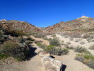 photo thumbnail #4