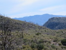 photo thumbnail #2
