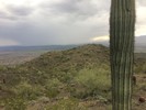 photo thumbnail #2