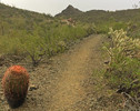 photo thumbnail #3
