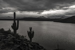 photo thumbnail #12