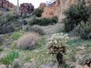 photo thumbnail #5