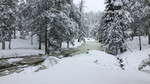 photo thumbnail #8